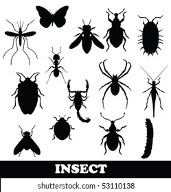 Insect set