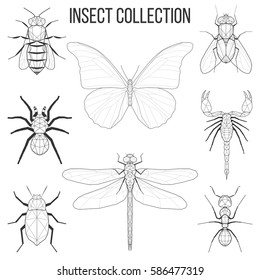 Insect set bee, fly, butterfly, dragonfly, beetle, ant, spider, scorpion insect geometric lines silhouette isolated on white background vintage vector design element illustration