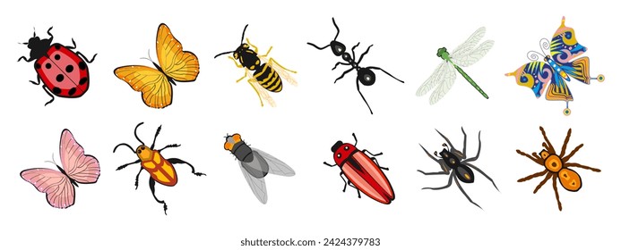 Insect set, butterfly, ant, dragonfly, wasp, ladybug, beetle, spider. Zoological icons, templates, decor elements, vector