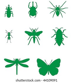 Insect set in color  02