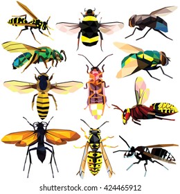 Insect set colorful low poly designs isolated on white background. Vector illustration.