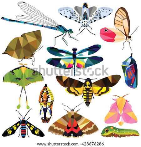Insect set colorful low poly butterfly, moth, caterpillar, chrysalis, dragonfly designs isolated on white background. Vector collection of animal insects in a modern style illustration.