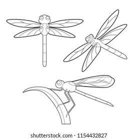 Insect Set Cute Dragonfly Cartoon Vector Coloring Book