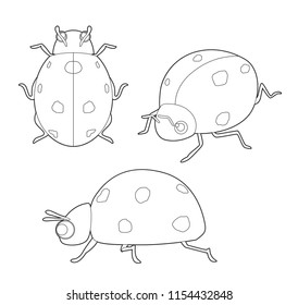 Insect Set Cute Ladybug Cartoon Vector Coloring Book