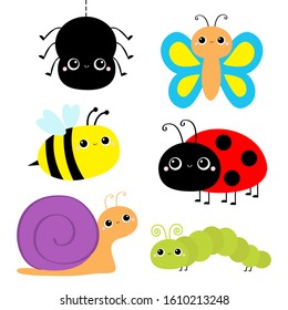 Insect set. Ladybug ladybird, green caterpillar, butterfly, spider, honey bee, snail. Cute cartoon kawaii baby animal character. Flat design. White background Isolated. Vector illustration