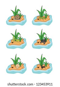 insect set snails, grasshopper, mantises, scorpion, spider, ant grass land background