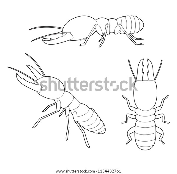 Insect Set\
Termite Cartoon Vector Coloring\
Book