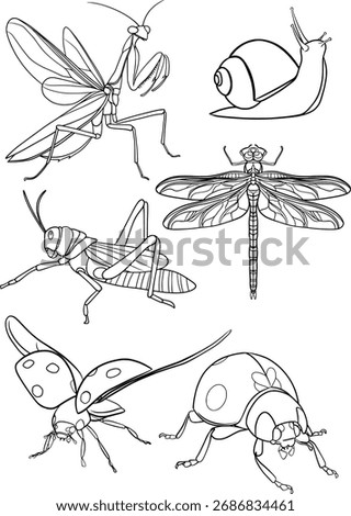 insect set of vector outline illustration praying mantis, grasshopper, snail, ladybug, dragonfly