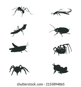 Insect set vector silhouette on white background.