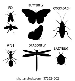 insect silhouette