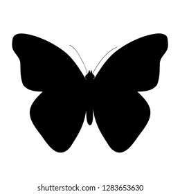  insect silhouette, butterfly