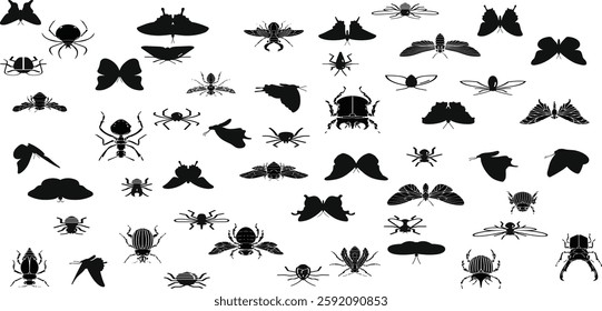 Insect silhouette collection, diverse bug species. Educational visual resource, insect vector set