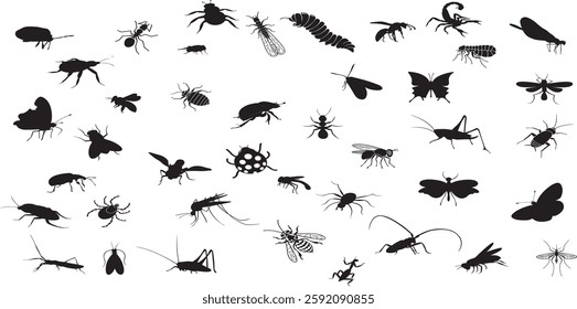 Insect silhouette collection, diverse bug species. Educational visual resource, insect vector set