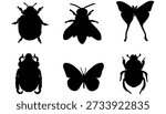 Insect Silhouette Collection" or "Insect Taxonomy in Silhouette