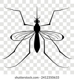 Insect silhouette. Insect. a realistic mosquito. Mosquito silhouette. gnat. midge. Eps 10