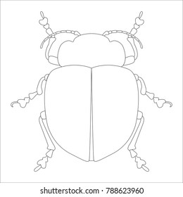 Insect silhouette. Sketch of bug isolated on white background. Vector illustration
