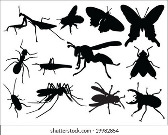 Insect silhouette vector collection