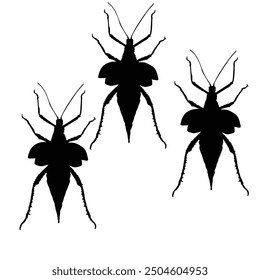 insect silhouette vector design in black on a white background