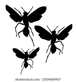 insect silhouette vector design in black on a white background