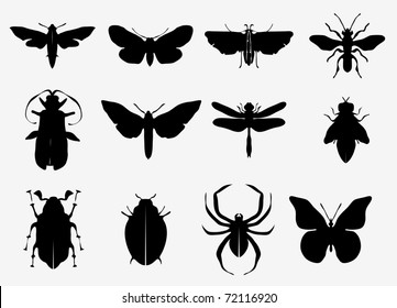  Insect silhouettes