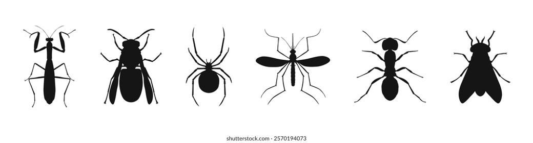 Insect Silhouettes Collection Flat Black Vector Set