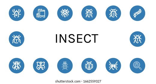 ajuste de iconos sencillos de insecto. Contiene íconos como Acari, Pesticida, Mosquito, escarabajo de jabón, escarabajo, colopendra, mosca, mariposa, buitre, viuda negra, pueden ser usados para web, móvil y logo