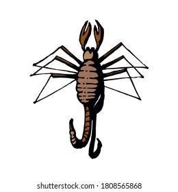 insect with six legs and two antenna, natural