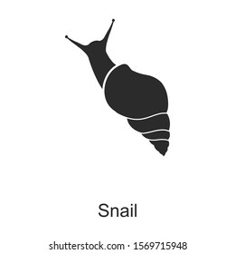 Insect snail vector icon.Black vector icon isolated on white background insect snail .