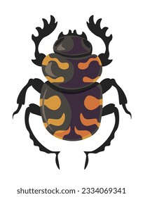 Insect species and types, isolated bug carrion beetle with legs and pattern on body. Wilderness and nature, environment and natural biodiversity. Zoology and animals types. Vector in flat style