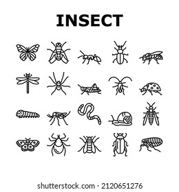 Insect, Spider And Bug Wildlife Icons Set Vector. Dragonfly And Butterfly, Ladybug And Cockroach, Grasshopper And Bumblebee, Mosquito And Caterpillar Insect Line. Black Contour Illustrations