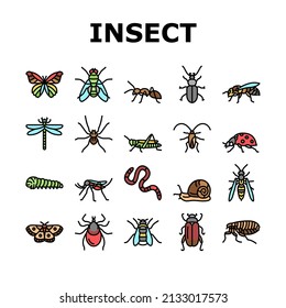 Insect, Spider And Bug Wildlife Icons Set Vector. Dragonfly And Butterfly, Ladybug And Cockroach, Grasshopper And Bumblebee, Mosquito And Caterpillar Insect Line. Color Illustrations