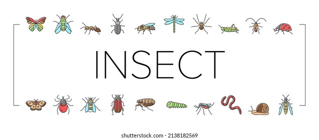 Los Iconos De Vida Silvestre De Insectos, Araña Y Bug Envuelven El Vector. Flora De Dragón Y Mariposa, Ladybug Y Cockroach, Grasshopper Y Bumblebee, Línea De Insectos Mosquitos Y Caterpillar. Ilustraciones de color