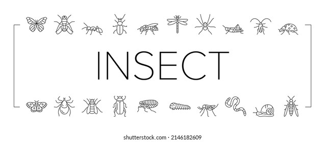 Insect, Spider And Bug Wildlife Icons Set Vector. Dragonfly And Butterfly, Ladybug And Cockroach, Grasshopper And Bumblebee, Mosquito And Caterpillar Insect Line. Black Contour Illustrations