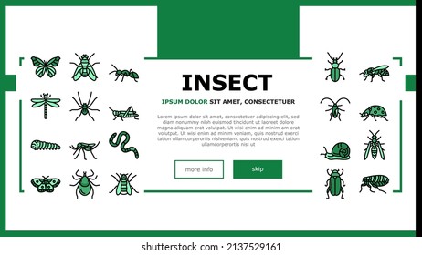 Insect, Spider And Bug Wildlife Landing Web Page Header Banner Template Vector. Dragonfly And Butterfly, Ladybug Cockroach, Grasshopper And Bumblebee, Mosquito Caterpillar Insect Line. Illustration