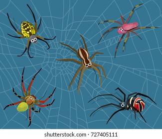 La caricatura de naturaleza de las arañas de los insectos incluye 5 tipos de arañas y fondo de tela de araña. Vector gráfico de biología animal e ilustración. 