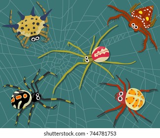 Insect spider nature cartoon include 5 types of spiders and spider web background. Animal biology graphic vector and illustration. 