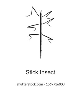 Insect stick vector icon.Black vector icon isolated on white background insect stick .