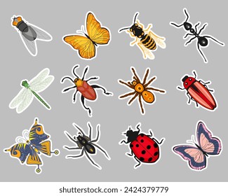 Insect sticker set, butterfly, ant, dragonfly, wasp, ladybug, beetle, spider. Zoological icons, templates, decor elements, vector