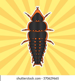 Insect sticker. Trilobite beetle Duliticola Platerodrilus. Sketch of Trilobite beetle. Trilobite beetle Design for coloring book. hand-drawn Trilobite beetle. Vector illustration