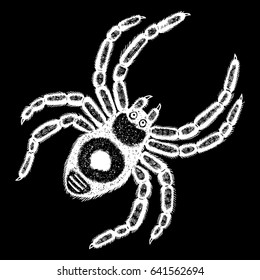 Insect stipple drawing Halloween decorative spider isolated. Spider in trendy embroidery stippling and hatching, shading style. Vector.