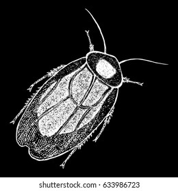 Insect stipple drawing isolated. Cockroach or bug in trendy embroidery stippling and hatching, shading style. Vector.