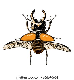 Insect stipple drawing isolated in color for Halloween. Insects and bug beetle in trendy colourful embroidery stippling and hatching, shading style. Vector.