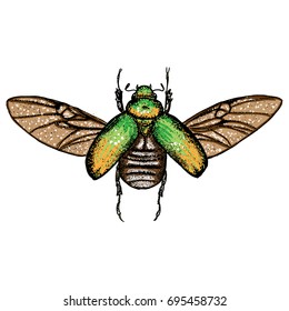 Insect stipple drawing isolated in color for Halloween. Insects and bug beetle in trendy colourful embroidery stippling and hatching, shading style. Vector.