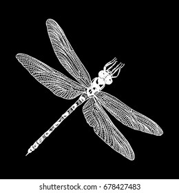 Insect stipple drawing isolated. Dragonfly and bug in trendy embroidery stippling and hatching, shading style. Vector.