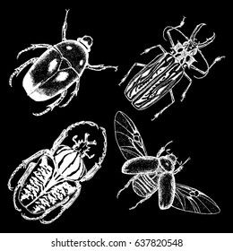 Insect stipple drawing set isolated. Insects and bugs collection in trendy embroidery stippling and hatching, shading style. Vector.