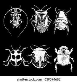 Insect stipple drawing set isolated. Insects and bugs collection in trendy embroidery stippling and hatching, shading style. Vector.