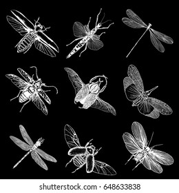 Insect stipple drawing set isolated. Insects and bugs collection in trendy embroidery stippling and hatching, shading style. Vector.