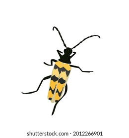  Ilustración de material de insectos en fondo blanco