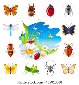 Insect and summer nature icon set with illustration for design. Chamomile flowers, ladybugs, grass and blue sunny sky.Animal icons: butterfly, beetle, ladybug, dragonfly, bee, grasshopper, spider, fly