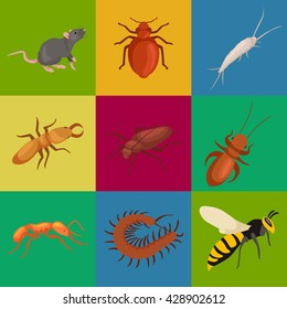 insect symbol set isolated on white. Sign or icon of bug black spider fly locust bee with wing ant mosquito macro design element for pest control flat concept collection vector illustration